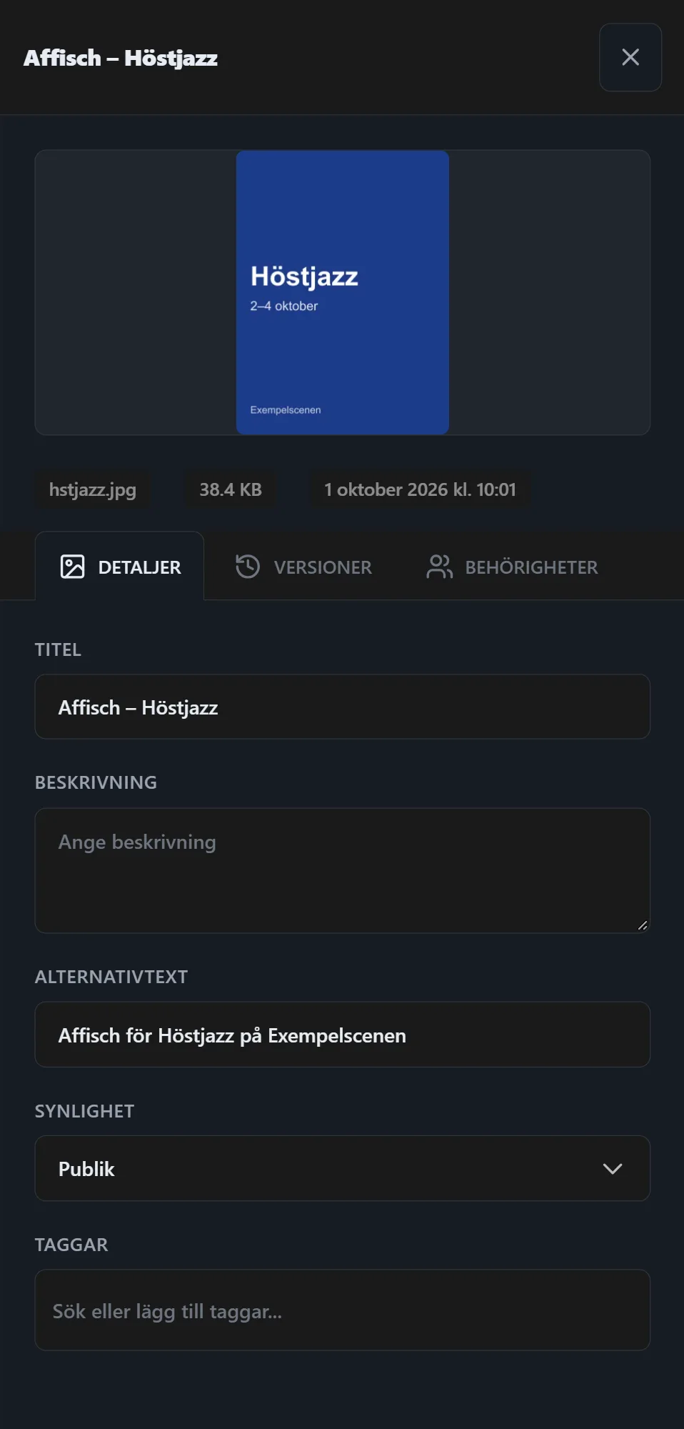 En fil — dess detaljer, versioner och vem den delas med