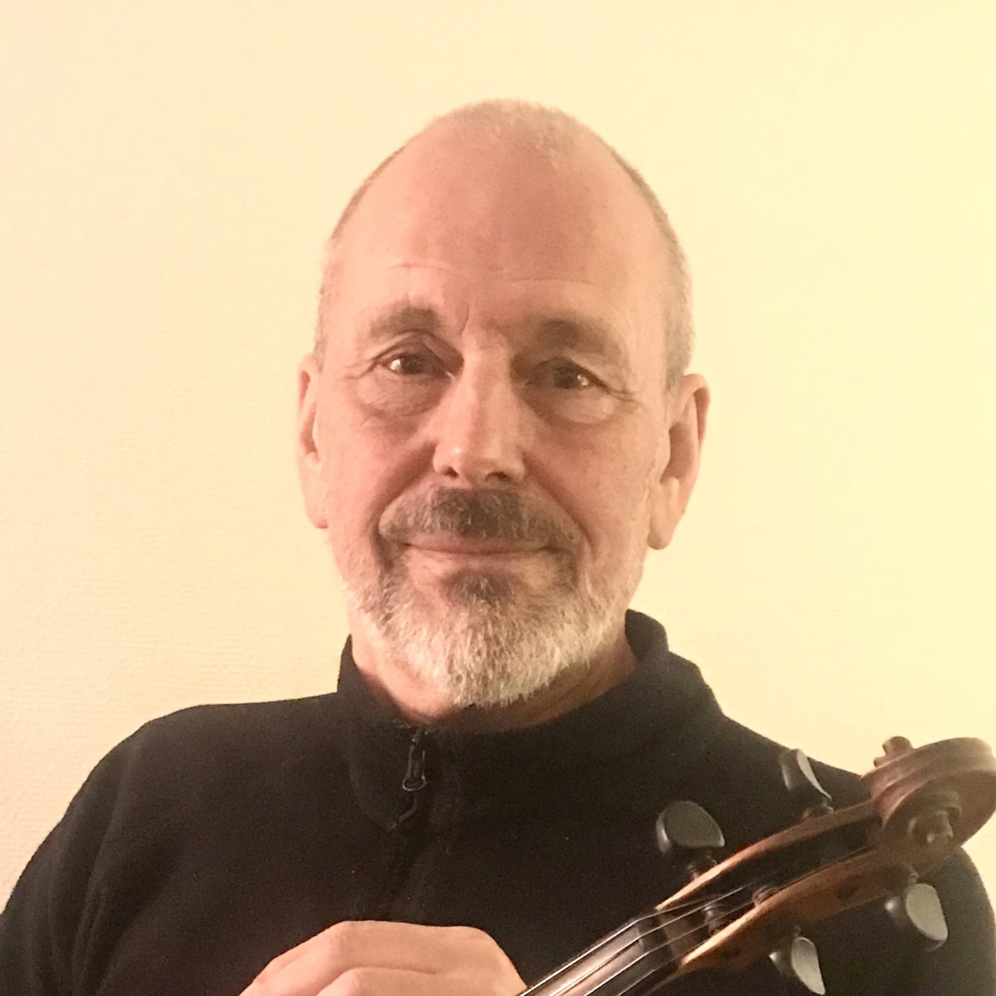 Bild på Fiolteknik för spelmän