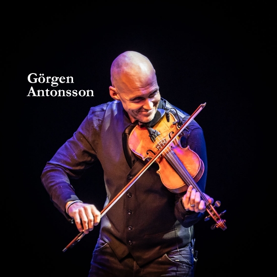 Bild på Spelkurs i Falun 30 mars